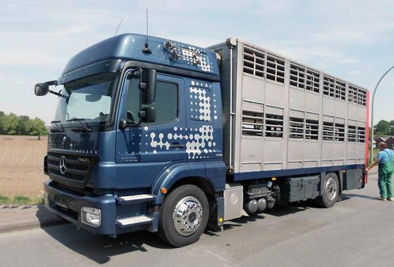 Заказать скотовоз для крупного рогатого скота из Красноярска в Комсомольск-на-Амуре